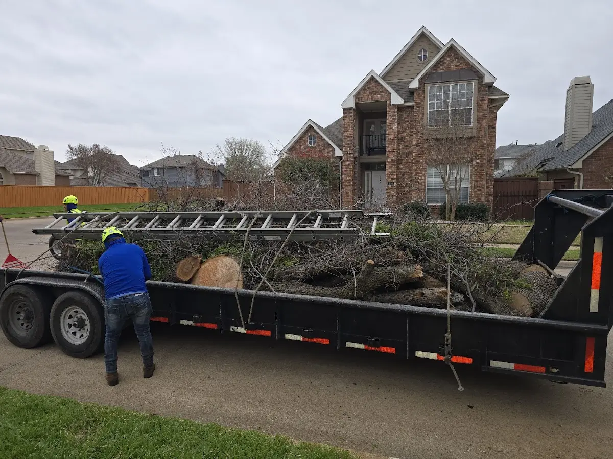 Expert Deadwooding with proper safety equipment in Chalmette
